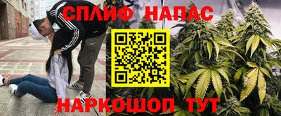 мяу мяу мука Гай