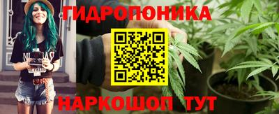 мяу мяу мука Гай