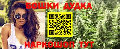метадон Гатчина