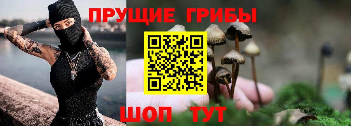 Галлюциногенные грибы прущие грибы  Псилоцибиновые грибы мухоморы  Вход с VPN  Губаха 